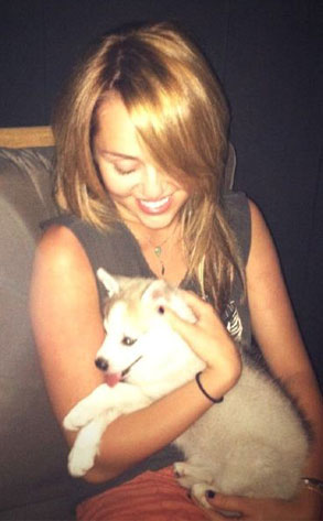 Miley Cyrus, Twitter Miley Cyrus, Twitter